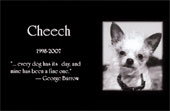 Laser Etched Black Granite Memorials
