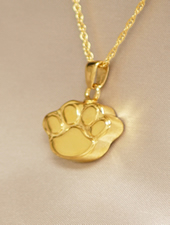 Jewelry 411G